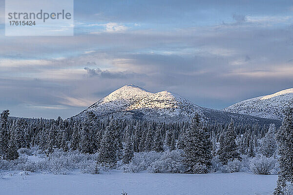 Winterliches Sonnenaufgangslicht  das sich auf dem schneebedeckten Berggipfel entlang der Annie Lake Road spiegelt; Whitehorse  Yukon  Kanada