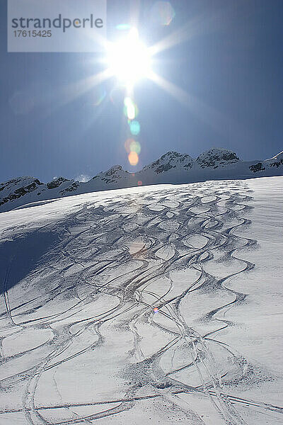 Skispuren im Schnee im Hinterland; Selkirk Mountains  British Columbia  Kanada.
