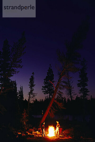 Lagerfeuer beleuchtet einen Baum und Camper am Cathedral Lake; Yosemite National Park  Kalifornien.
