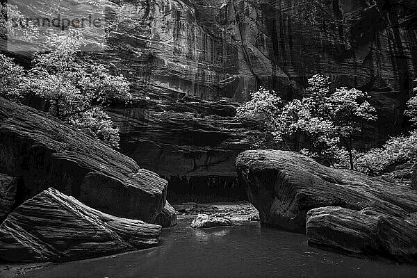 Dramatische Sandsteinfelsen in den Narrows; St George  Utah  Vereinigte Staaten von Amerika