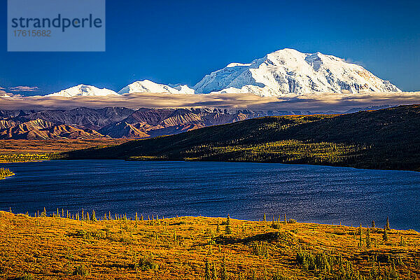 Mount Denali (McKinley) über dem Wonder Lake mit der goldenen  herbstlich gefärbten Tundra unter einem blauen Himmel; Denali National Park and Preserve  Interior Alaska  Alaska  Vereinigte Staaten von Amerika