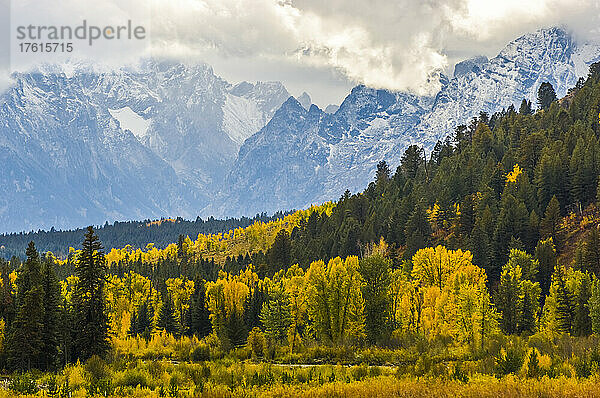 Herbstfarben am Pacific Creek im YNP und den Grand Tetons; Grand Teton National Park  Wyoming  Vereinigte Staaten von Amerika