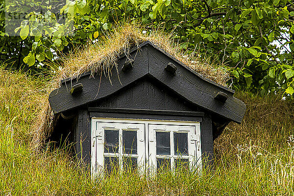 Nahaufnahme eines Fensters in einem Haus mit einem traditionellen Grasdach.
