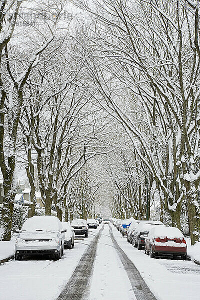 Winter  West Point Grey  Vancouver  British Columbia  Kanada