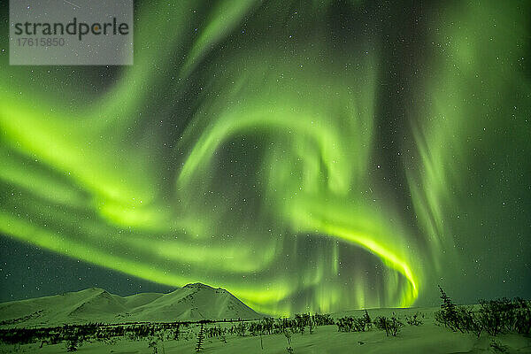 Aurora borealis (oder Nordlicht) am Sternenhimmel über den schneebedeckten Bergen entlang des Dempster Highway im Winter; Yukon  Kanada