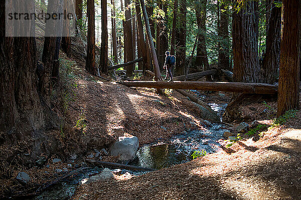 Ein Mann geht über einen umgestürzten Baum in einem Redwood-Wald.