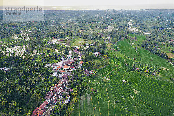 Luftaufnahme von üppigem Ackerland und einer Gemeinde; Sambangan  Bali  Indonesien