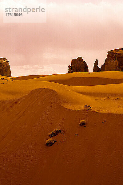Sanddüne  Monument Valley  Navajo-Stammespark  Arizona