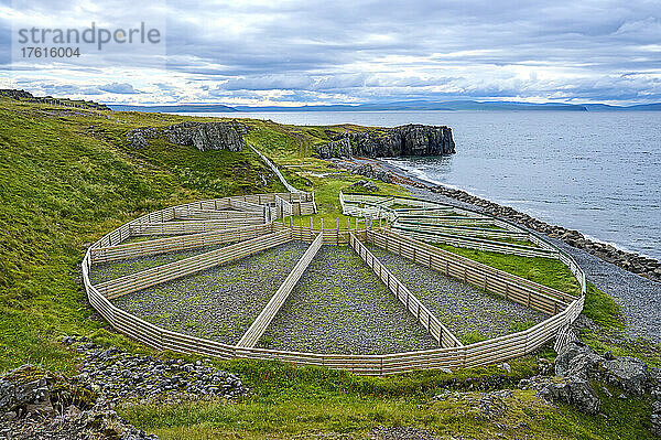 Kreisförmiges Schafstor entlang der Küste des Nordatlantiks auf der Halbinsel Vatnsnes in der nördlichen Region Islands; Halbinsel Vatnsnes  Nordurland Vestra  Island