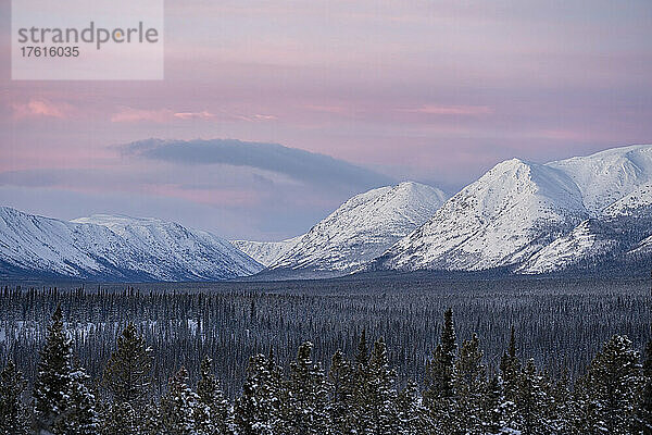 Pastellfarbener Sonnenaufgang über einem Nadelwald im Wheaton River Valley mit den schneebedeckten Bergen in der Ferne; Whitehorse  Yukon  Kanada