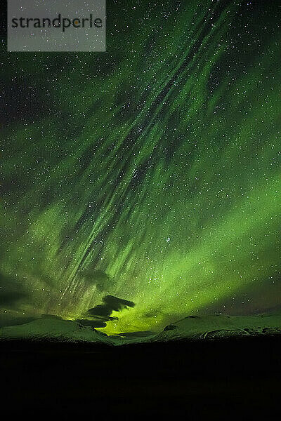 Aurora borealis  Streifen hellgrünen Lichts  die am Nachthimmel über schneebedeckten Berggipfeln aufblitzen; Island