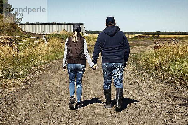Blick von hinten auf ein reifes Paar  das sich an den Händen hält und einen Feldweg auf seiner Farm entlanggeht; Alcomdale  Alberta  Kanada