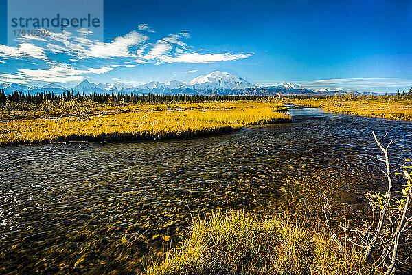 Blick auf den Mount Denali (McKinley) mit einem Bach und goldener Tundra im Vordergrund; Denali National Park and Preserve  Interior Alaska  Alaska  Vereinigte Staaten von Amerika