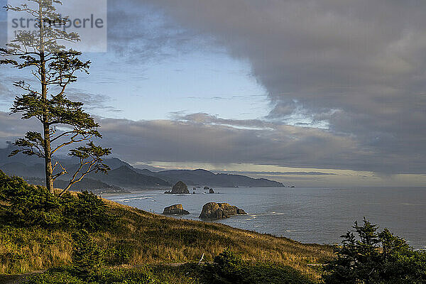 Abendlicht taucht Chapman Point im Ecola State Park an der Küste von Oregon; Cannon Beach  Oregon  Vereinigte Staaten von Amerika