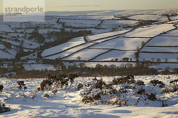 Eine winterliche Ansicht von Hameldown  in der Nähe von Widecombe-in-the-Moor  Dartmoor National Park; Devon  England