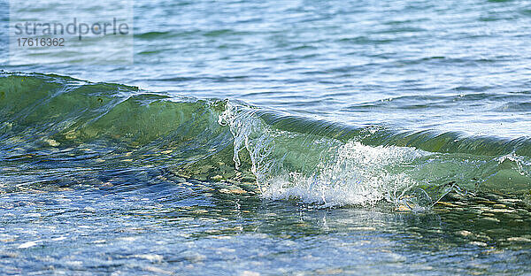 Nahaufnahme einer kleinen Welle  die in der Brandung am Ufer plätschert  mit klarem Wasser  das einen felsigen Boden zeigt  Davis Bay  Sunshine Coast; British Columbia  Kanada