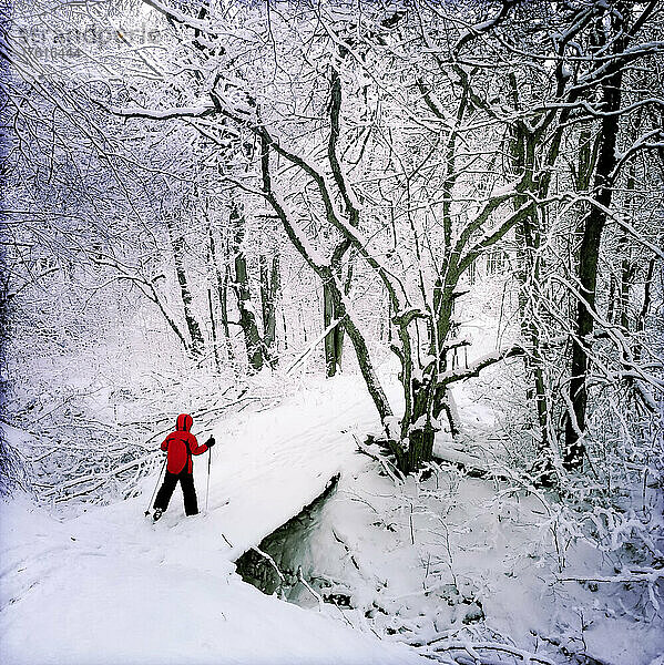 Ein 9-jähriger Junge fährt auf Langlaufskiern über eine schneebedeckte Brücke; Canaan Valley  West Virginia.