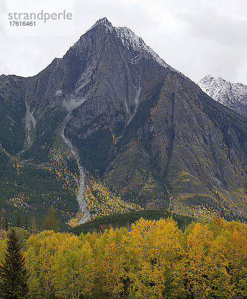 Weite und dramatische Landschaft mit zerklüfteten Berggipfeln unter einem bewölkten Himmel und einem herbstlich gefärbten Wald; British Columbia  Kanada