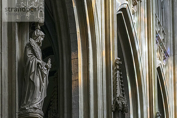 Statue der Heiligen Theodora  St. Johannes-Kathedrale  Den Bosch; 's-Hertogenbosch  Nordbrabant  Niederlande
