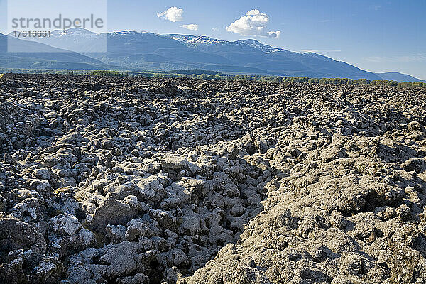 Lavabetten  Nisga'a Memorial Lava Beds Provincial Park  Coast Mountains  British Columbia  Kanada