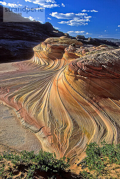 Bunte Sandsteinfelsen der Coyote Buttes in der Paria Canyon-Vermilion Cliffs Wilderness; Arizona  Vereinigte Staaten von Amerika