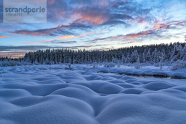 Schneebedeckte Hügel und Nadelwald mit Sonnenuntergang  der den Himmel über McIntyre Creek im Winter erhellt; White Horse  Yukon  Kanada