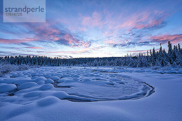 Atemberaubende Landschaft mit schneebedeckten Hügeln und Nadelwäldern  während der Sonnenuntergang den Himmel mit pastellrosa Wolken über dem McIntyre Creek im Winter erhellt; White Horse  Yukon  Kanada