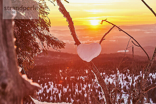 Herzform im Schnee auf einem Ast während eines goldglühenden Sonnenuntergangs auf dem Berg Lusen  Bayerischer Wald; Bayern  Deutschland