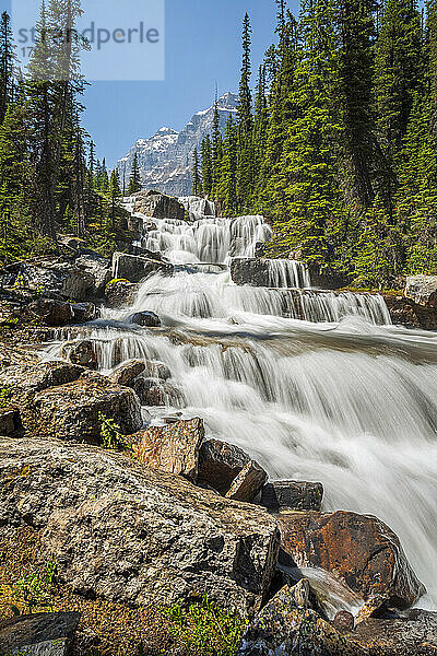 Wasser  das über die Giant Steps am Paradise Creek  Banff National Park  Alberta  Kanada  stürzt