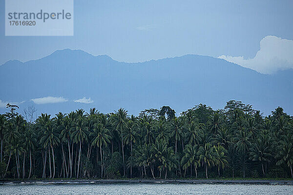 Dschungel und Küstendorf zwischen Kokospalmen (Cocos nucifera) mit Silhouetten der Berge in der Ferne an der Küste der Provinz Morobe; Provinz Morobe  Papua-Neuguinea