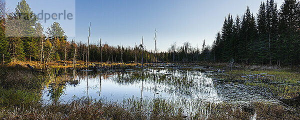 Ein ruhiger  von Wäldern umgebener See in der Region Laurentides in Quebec; Quebec  Kanada