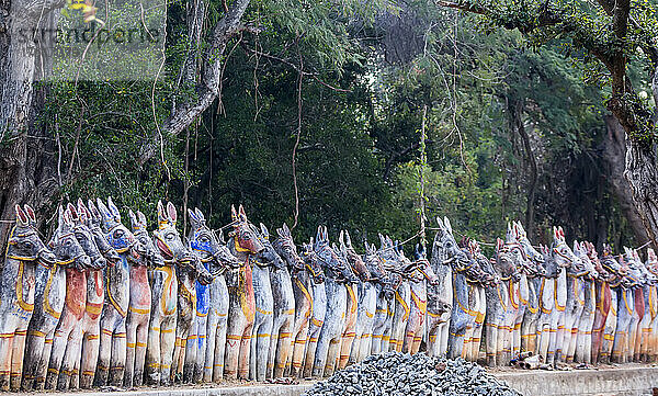 Reihe von bemalten Terrakotta-Pferdestatuen im Sri Solai Andavar-Tempel in Kothari  Region Chetinadu  Tamil Nadu  Indien