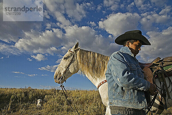 Ein ehemals wildes Pferd arbeitet jetzt mit einem Schafhirten in Wyoming; Savery  Wyoming  Vereinigte Staaten von Amerika