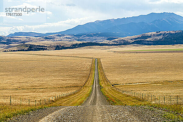 Zaunlinie Landstraße im grasbewachsenen offenen Bereich mit der Silhouette der Crazy Mountains in der Ferne; Montana  Vereinigte Staaten von Amerika