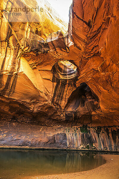 Golden Cathedral Bullaugenbogen im Neon Canyon  Grand Staircase-Escalante National Monument; Utah  Vereinigte Staaten von Amerika