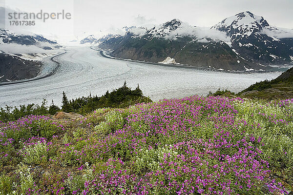 Lachsgletscher  Coast Mountains  British Columbia  Kanada