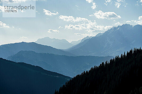 Österreichische Alpen an einem sonnigen Tag  mit Waldsilhouette im Vordergrund; Wagrain  Österreich