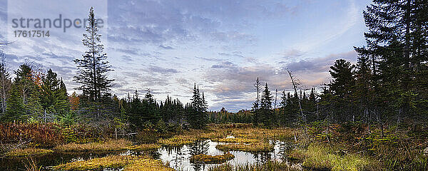 Kräftige Farben eines Waldes entlang eines ruhigen Flusses im Herbst in den Laurentides; Quebec  Kanada