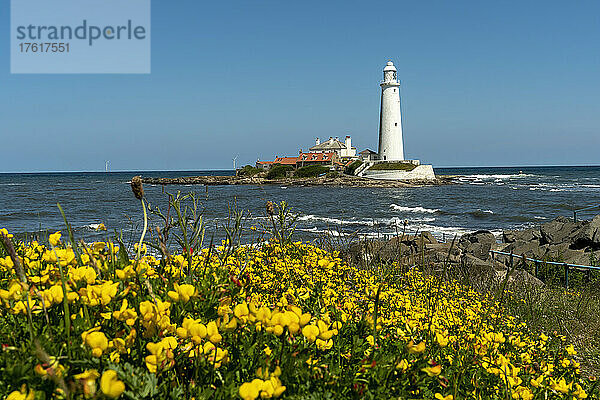 Leuchtturm St. Mary's; Whitley Bay  Tyne And Wear  England