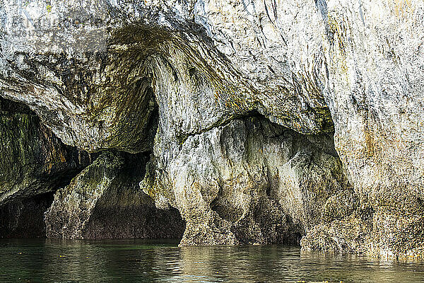 Krustige Kalksteinfelsen  die durch frühere Erosion entlang der Küste von Admiralty Island entstanden sind; Südost-Alaska  Alaska  Vereinigte Staaten von Amerika