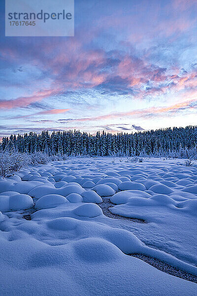 Atemberaubende Landschaft mit schneebedeckten Hügeln und Nadelwäldern  während der Sonnenuntergang den Himmel mit pastellrosa Wolken über dem McIntyre Creek im Winter erhellt; White Horse  Yukon  Kanada