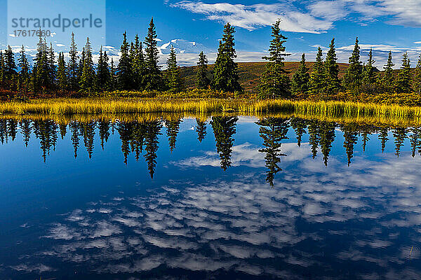 Bäume und Wolken spiegeln sich im stillen Nuggett Pond.