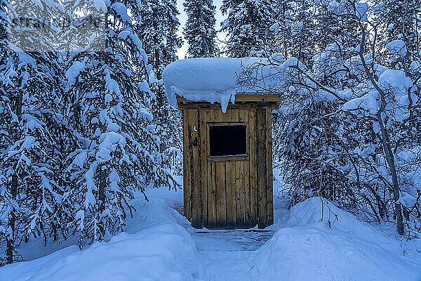 Plumpsklo in einem Yukon-Wald im Winter; Whitehorse  Yukon  Kanada