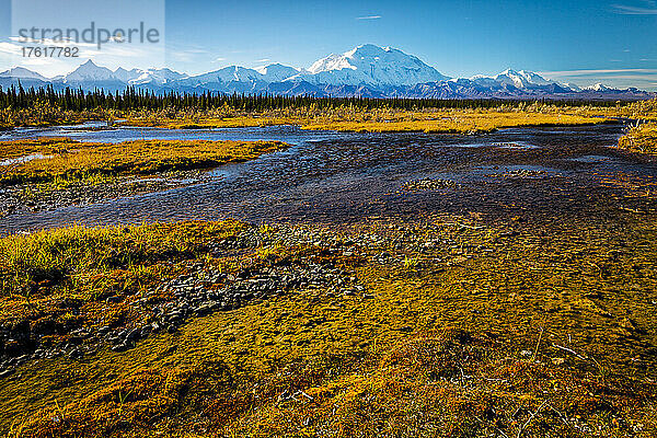Blick auf den Mount Denali (McKinley) mit goldener Tundra und einem Bach mit schlammigem Sumpfgebiet im Vordergrund; Denali National Park and Preserve  Interior Alaska  Alaska  Vereinigte Staaten von Amerika