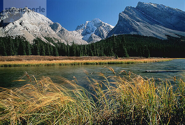 Elbow Lake Kananaskis Land Alberta  Kanada