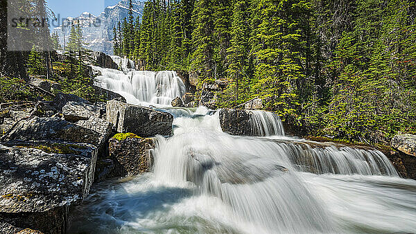 Wasser  das über die Giant Steps am Paradise Creek  Banff National Park  Alberta  Kanada  stürzt