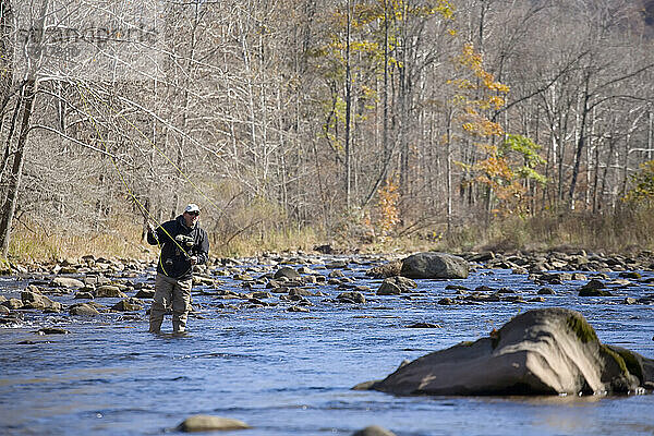 Fliegenfischer wirft in den Fluss; Elk River  Pocahantas County  West Virginia