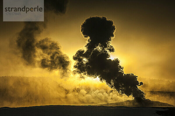 Silhouette der thermischen Dampfwolken  die aus dem Old Faithful ausbrechen  während der Himmel im goldenen Licht des Sonnenaufgangs im Upper Geyser Basin erleuchtet wird; Yellowstone National Park  Vereinigte Staaten von Amerika