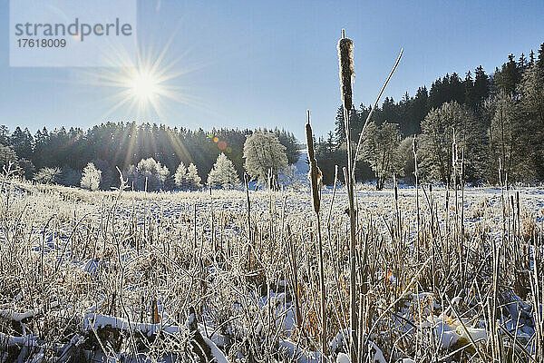 Gefrorene und verschneite Landschaft mit Sonnenaufgang; Bayern  Deutschland