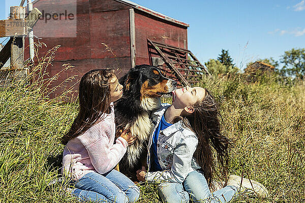 Zwei junge Schwestern verbringen viel Zeit miteinander  während sie mit ihrem Hund auf der Farm ihrer Familie im Gras sitzen; Alcomdale  Alberta  Kanada